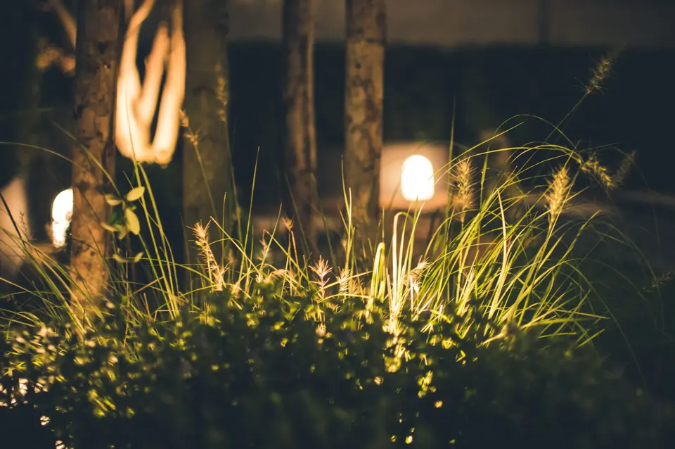 Garden with landscape lighting on
