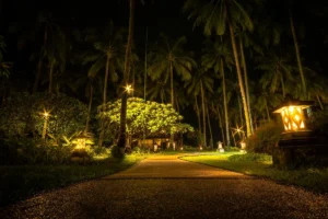How Much Electricity Does Landscape Lighting Use